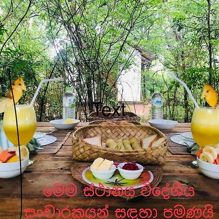Bed and Breakfast Grand Freedom Sigiriya Esterno foto