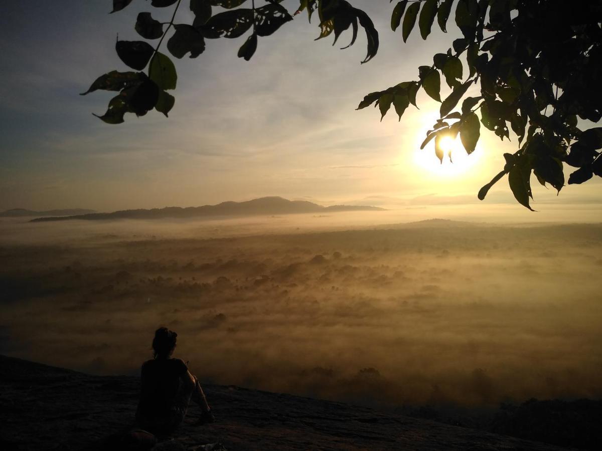 Bed and Breakfast Grand Freedom Sigiriya Esterno foto